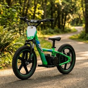 Bicicleta elétrica infantil 250W 16” 250W 16" Plus RFN  Verde