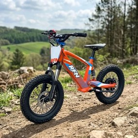 Bicicleta elétrica infantil 350W 16" Roan RXF Evo-S Laranja