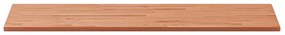 Tampo de mesa retangular 100x50x1,5 cm madeira de faia maciça