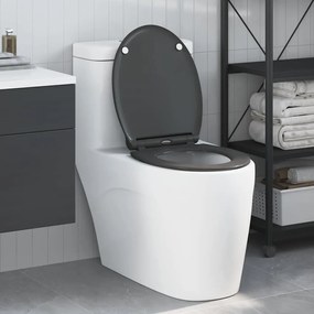 assa lança Rápida de vaso sanitário com fechamento suave Duroplast Antracite