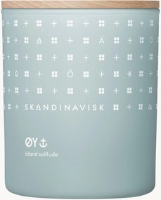 Vela perfumada Øy (maçã silvestre, rosa canina, musgo aquático, folhas verdes)