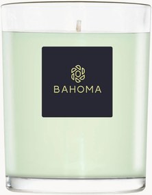 Vela perfumada artesanal Alchemy (primrose, amberwood)