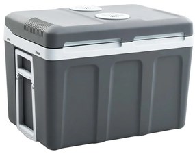 vidaXL Refrigerador/mala térmica portátil 40 L 12 V 230 V E