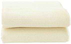 Tenda tapete 4x2,5 m creme