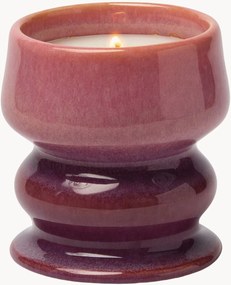 Vela perfumada em cerâmica Melt Ombre (figo silvestre e cedro)