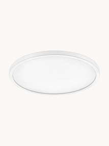 Candeeiro de teto LED pequeno regulável Oja