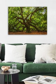 Quadro Decorativo 553671223 – Multicolor – 50 x 70 cm