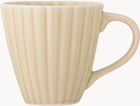 Canecas Latina, conjunto de 6