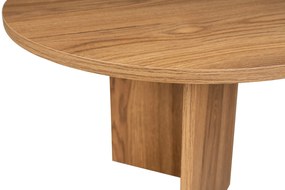 Mesa de Centro "Oval" – 120x40x60 cm, Design Sofisticado