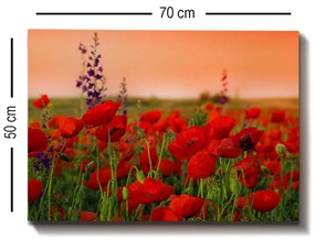 Quadro Decorativo 100214240 – Multicolor – 50 x 70 cm