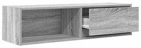 Móvel de TV 100x31x25,5 cm derivados de madeira cinzento sonoma