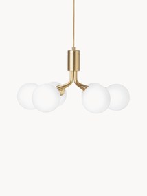 Glass Ball Pendant Lamp Apiales