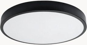 Foco de teto LED Franco, vários tamanhos