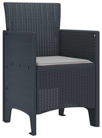 Cadeiras de Jardim com Almofadas 2 pcs Antracite
