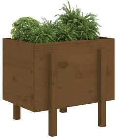 Vaso/floreira de jardim 62x50x57 cm pinho maciço castanho-mel