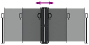 Toldo lateral retrátil 100x1000 cm antracite