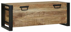 vidaXL Baús de Armazenamento 80x30x30cm Madeira de Mangueira Maciça e Metal
