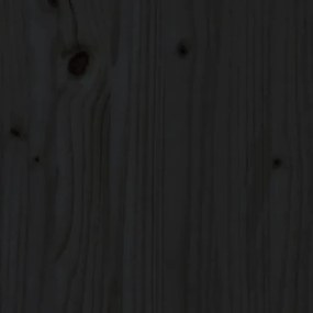 Sapateira 110x38x45,5 cm pinho maciço preto
