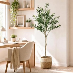Oliveira Artificial Decorativa, 15 x 13 x 150 cm (VASO NÃO INCLUIDO), 11 Ramos e Frutos Realistas, Verde