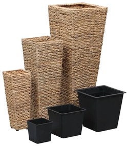 Vasos/floreiras 3 pcs jacinto de água castanho