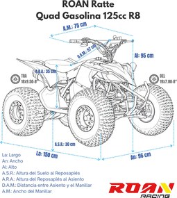 MINI MOTO 4 GASOLINA PARA CRIANÇAS 125cc Roan Ratte R8 automático Verde