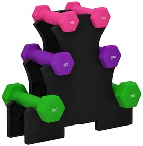SPORTNOW Jogo de Halteres 2x1 kg 2x2 kg 2x3 kg Conjunto de Halteres He