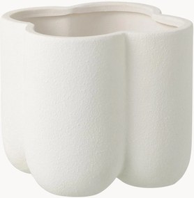 Vaso Buddy
