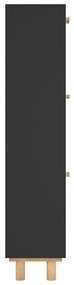 Sapateira 52x25x115 cm derivados de madeira/vime natural preto
