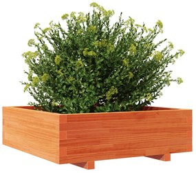 Vaso/floreira de jardim 80x80x26,5 cm pinho maciço castanho-mel