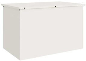 Caixa de Armazenamento Externa Branco 80 x 50.5 x 50 cm