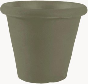 Vaso Camelia