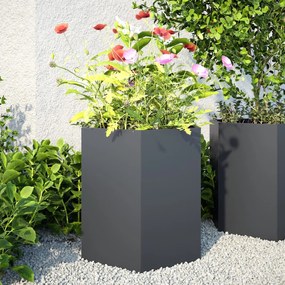 vidaXL Vasos floreiras jardim 2 pcs hexagonal 46x40x45cm aço antracite