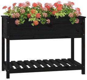 Vaso/floreira com prateleira 111,5x54x81 cm pinho maciço preto