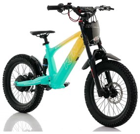 Bicicleta elétrica infantil 500W Roan RXF Evo Racing 18" Verde e Amarela