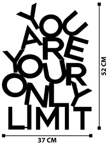 Acessório Decorativo de Parede Limit – Preto – 37 x 52 cm