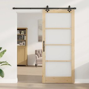 Conjunto de Porta Deslizante Conjunto de 2 Natural e preto