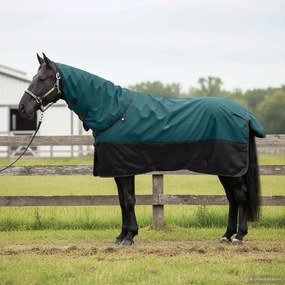 vidaXL Cobertor de Cavalo Verde Escuro e Preto 165 cm Poliéster