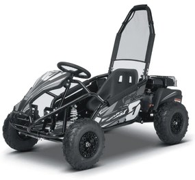 Buggy Kart a gasolina para crianças Motors BUGGY RSX - 98 cm³ Preto