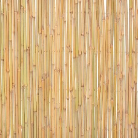 Cerca de bambu 300x100 cm