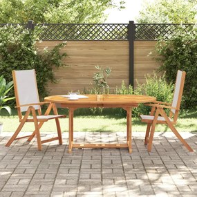 vidaXL Cadeiras de jardim dobráveis 2 pcs acácia maciça e textilene