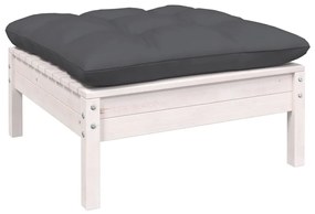 12 pcs conj. lounge de jardim c/ almofadões pinho maciço branco