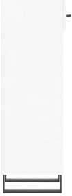 Sapateira 30x35x105 cm derivados de madeira branco brilhante