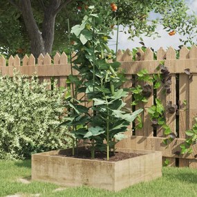 vidaXL Suportes p/ plantas de jardim c/ 3 anéis 5 pcs 75 cm aço verde