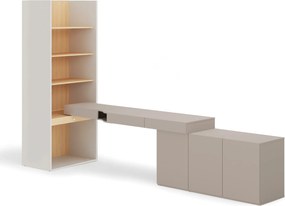 Conjunto para escritório em casa Evareve 118