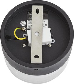 Candeeiro de parede de design preto com vidro opalino IP44 - Michele