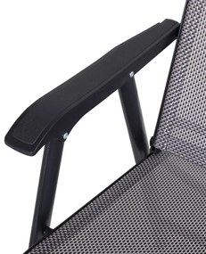 Conjunto de 2 Cadeiras Dobráveis com Apoio de Braços - Cinzento - Desi