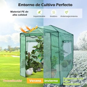 Estufa de jardim portátil com 2 janelas Portas de persiana com fecho de correr duplo à frente e atrás 180 x 250 x 230 cm Verde