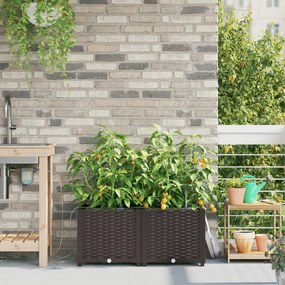 Plantadores de Jardim vidaXL com Sistema de Irrigação em Água 2 pcs Castanho