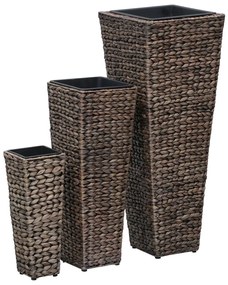 Vasos/floreiras 3 pcs jacinto de água castanho-escuro
