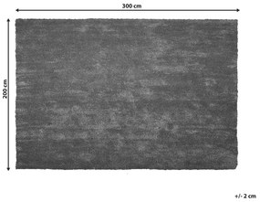 Tapete cinzento escuro 200 x 300 cm DEMRE Beliani